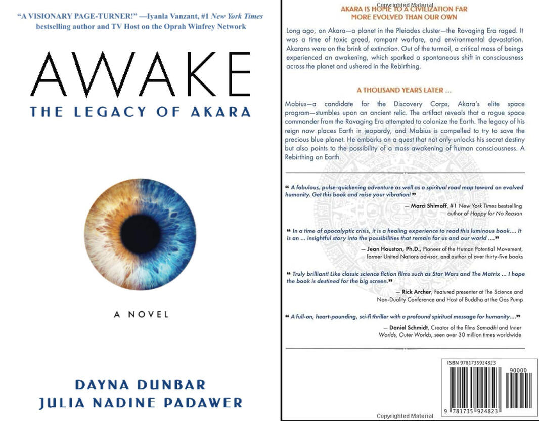 Awake book sample